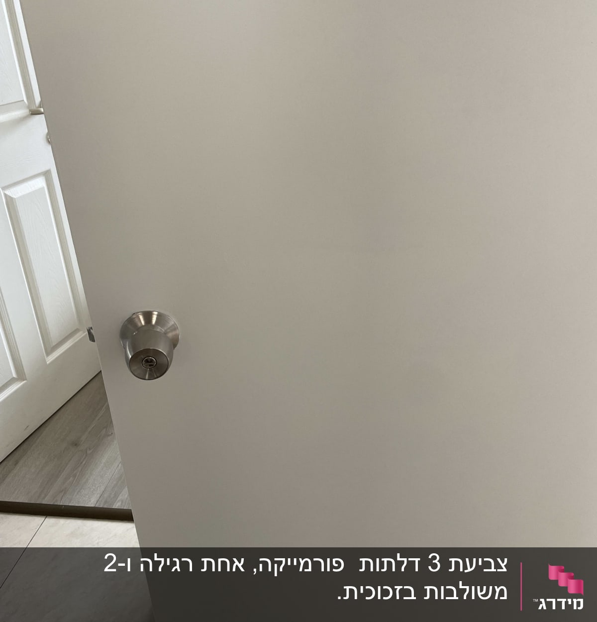 דלת לבנה עם ידית מתכת כסופה